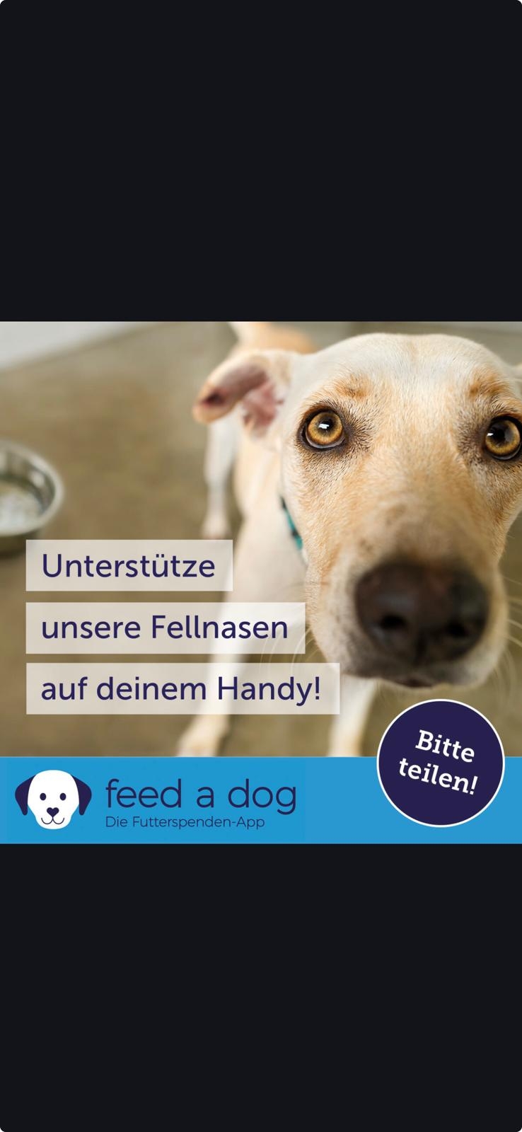 Futterspenden f&uuml;r Hunde &uuml;ber Feed a Dog / Pro Napf 2&euro;