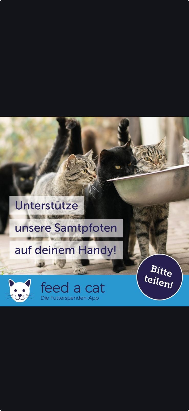 Futterspenden f&uuml;r Katzen