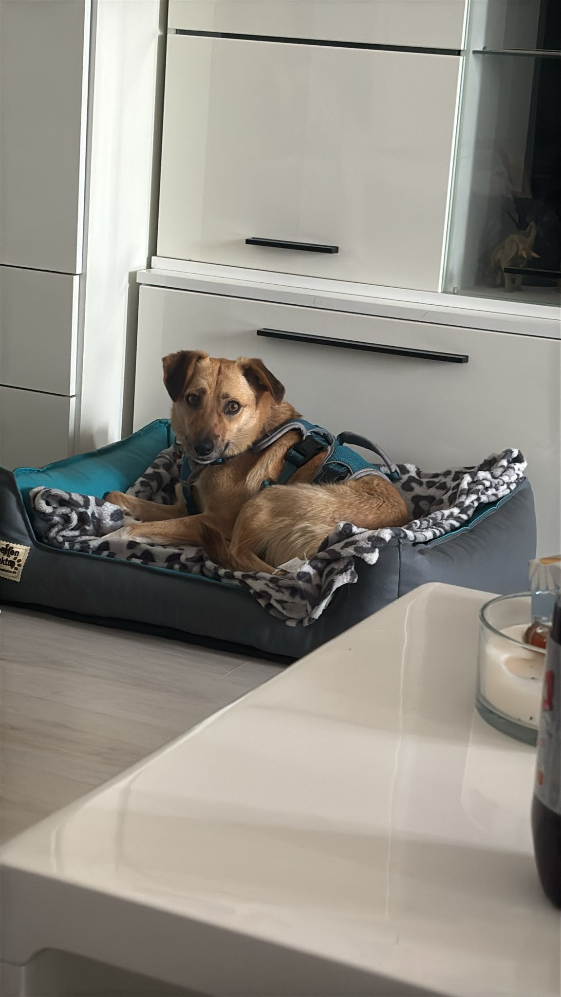 Nanni Pflegestelle NRW
