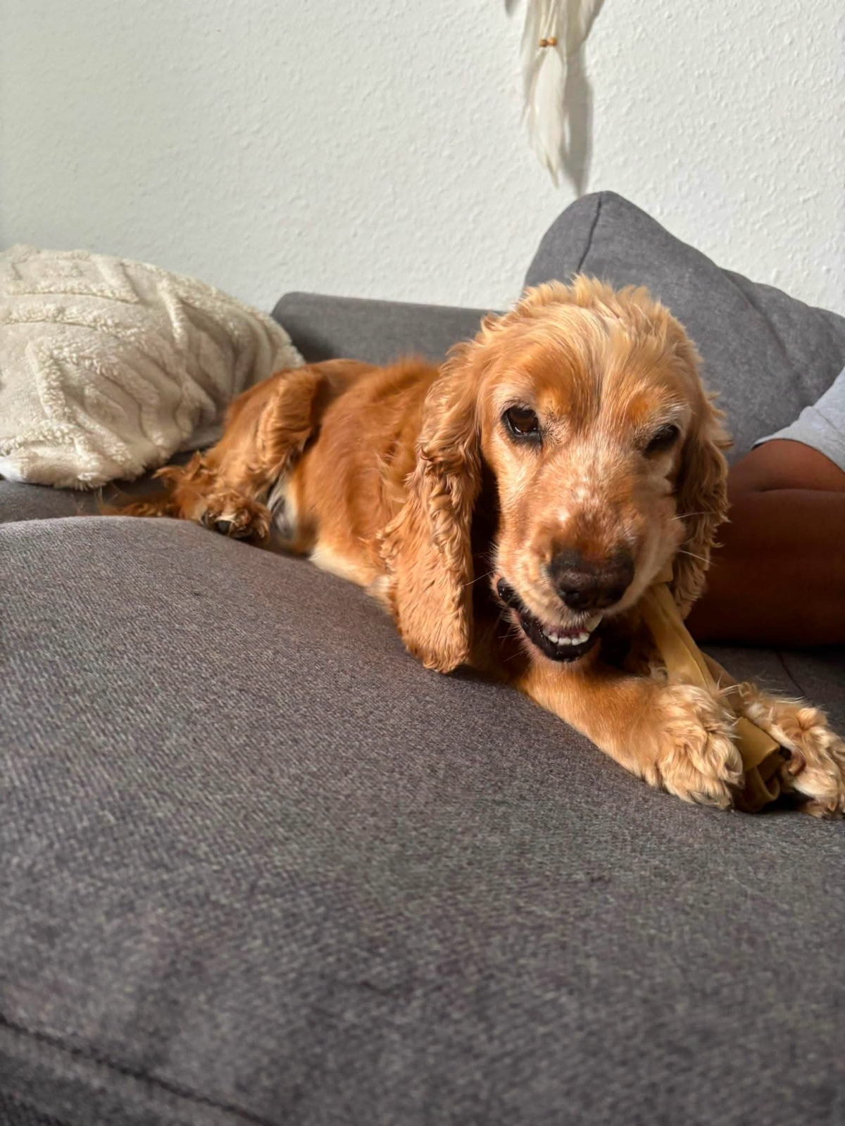 Ida Pflegestelle NRW