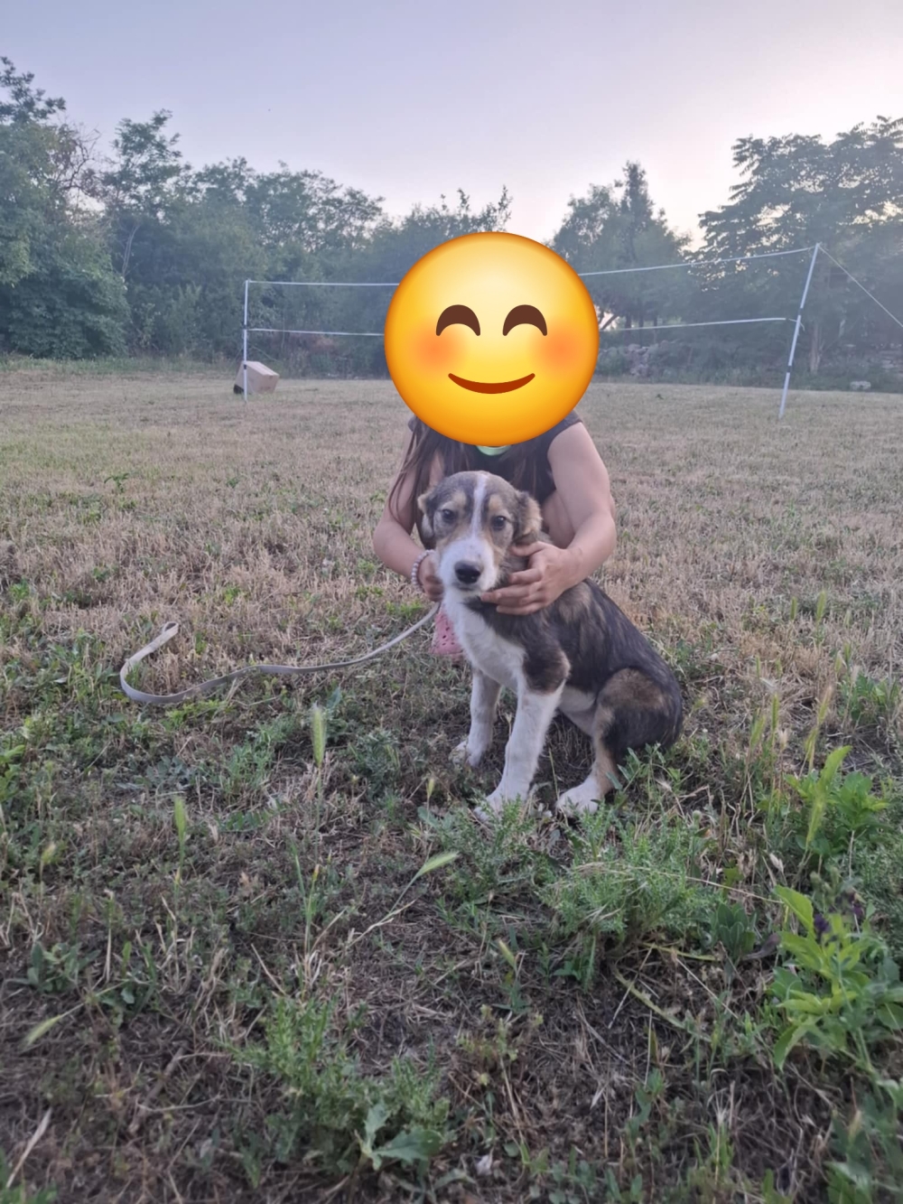 Maya