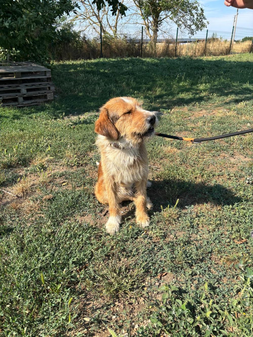 Bruno in NRW