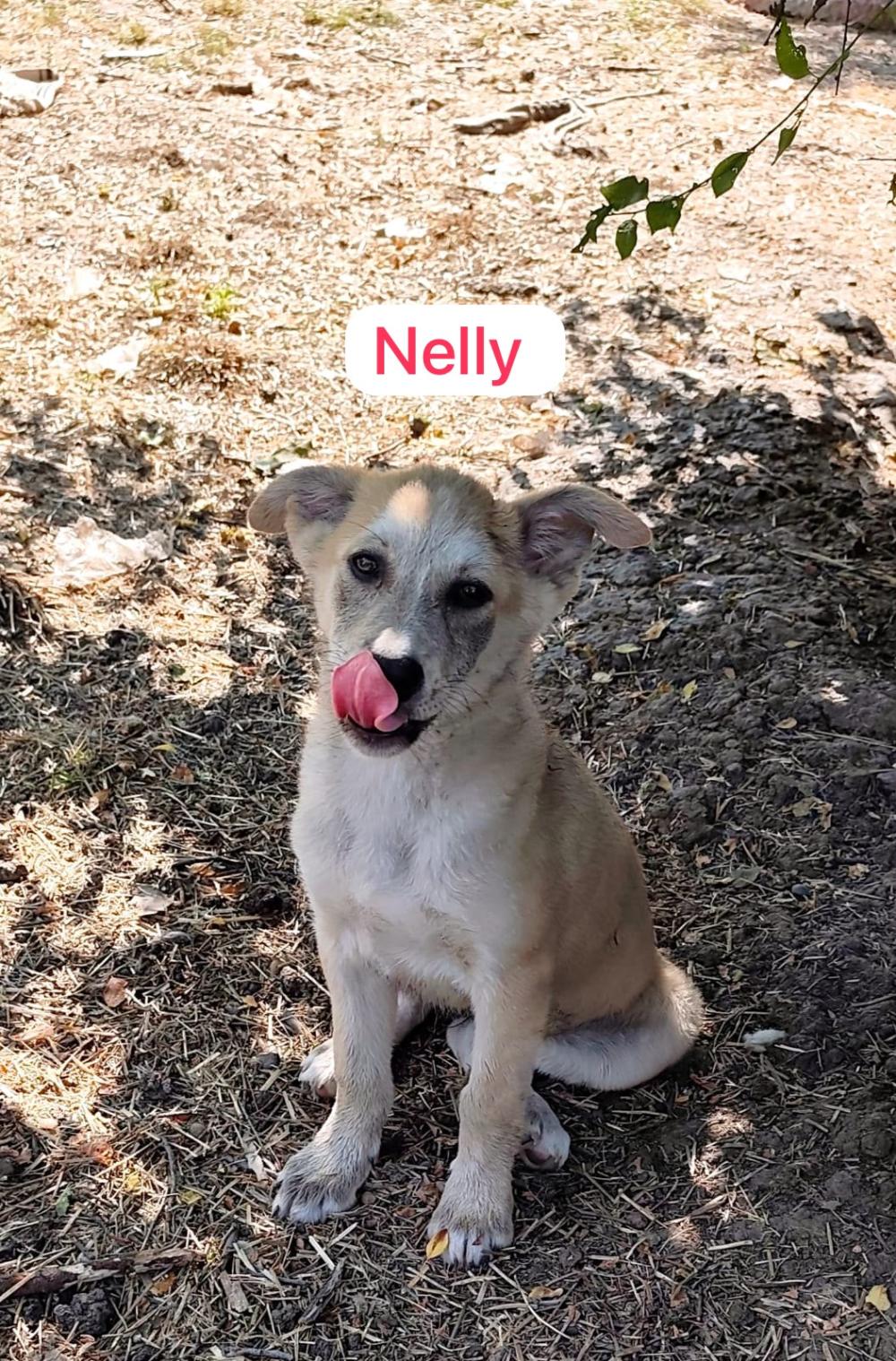 Nelly