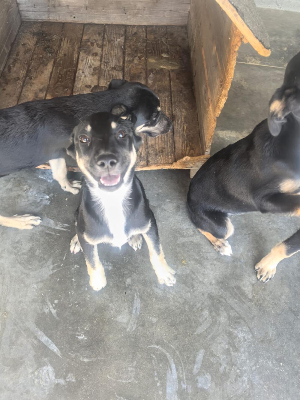 Hella❤️ Hanka❤️ Heidi❤️ 