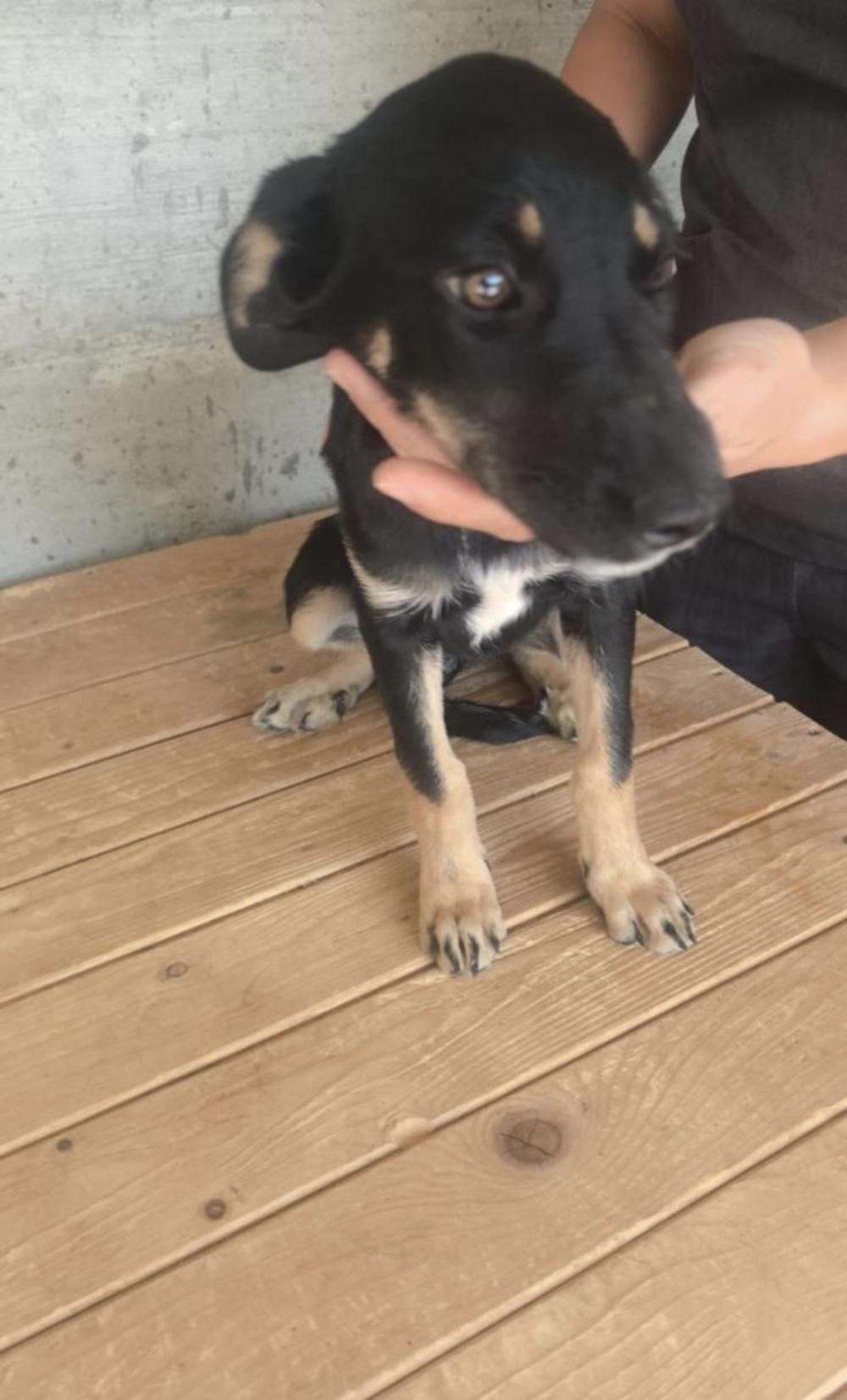 Hella❤️ Hanka❤️ Heidi❤️