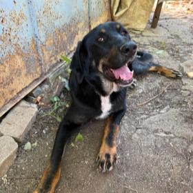 Rio